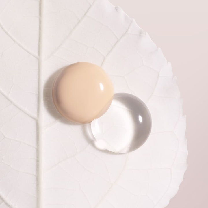 PHYTO-BLANC LE CUSHION FOUNDATION REFILL 1W1 ECRU 15G