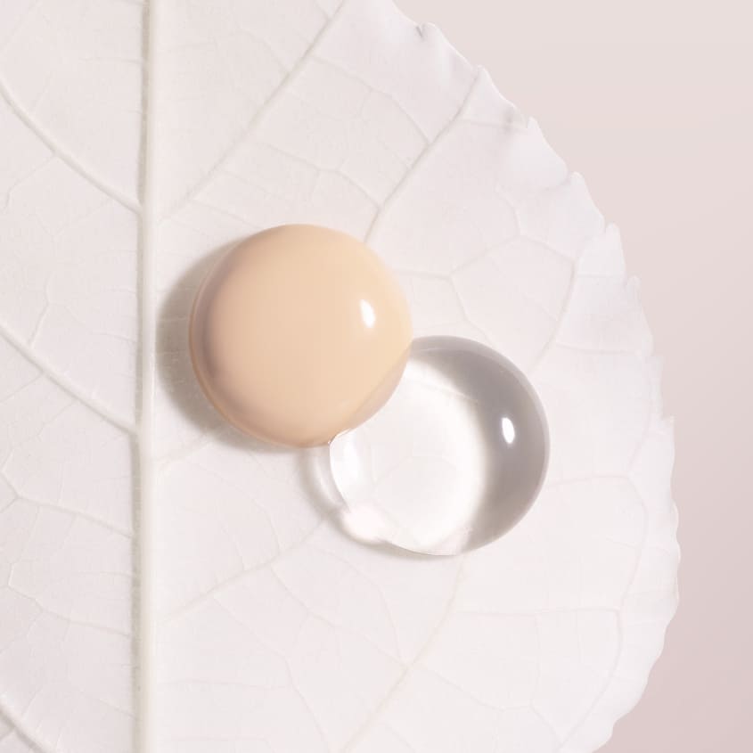 Phyto-Blanc Le Cushion Refill Foundation