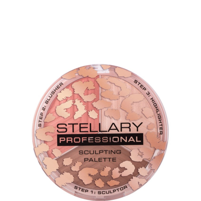FACE SCULPTOR SHADE 02
