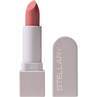 LONG LASTING LIPSTICK SHAD 17