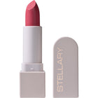 LONG LASTING LIPSTICK SHADE 25