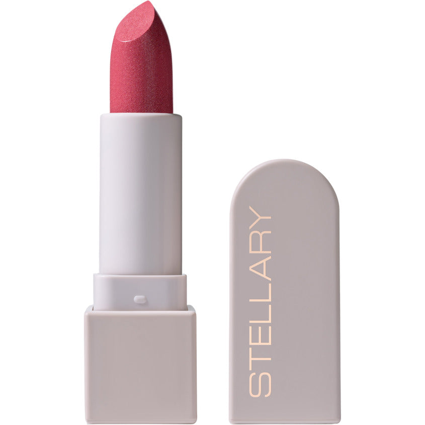LONG LASTING LIPSTICK SHADE 25