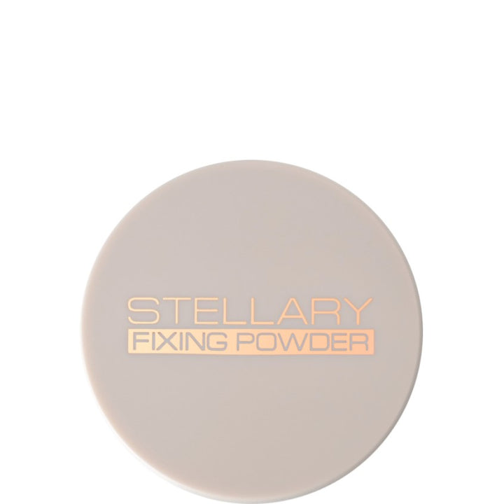 PERFECT MATTE FIXING POWDER TONE 02 5G