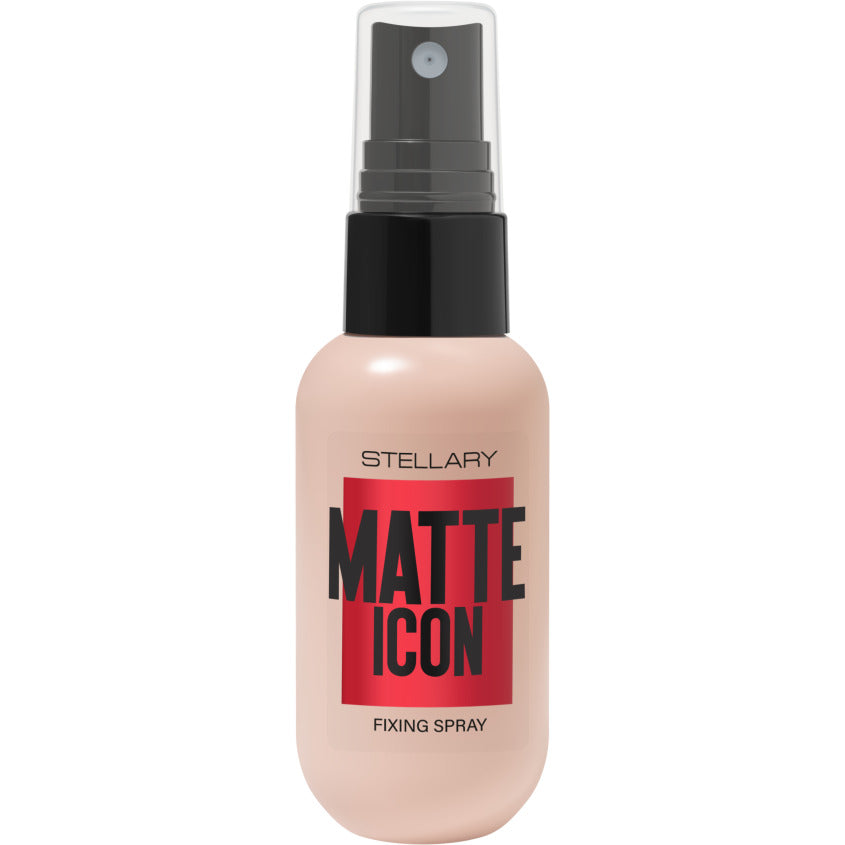 Matte Icon Fixing Spray