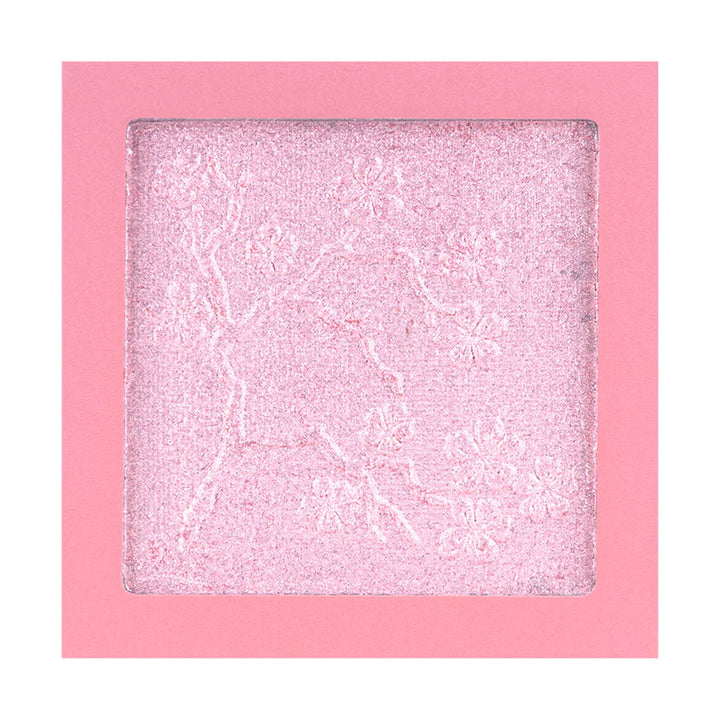 ROLE MODEL HIGHLIGHTER #softdivalution