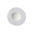 1.0 Tea Tree Booster