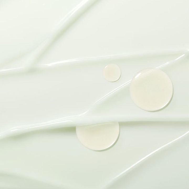 PINE LEAF VEGAN CREAM 50ML