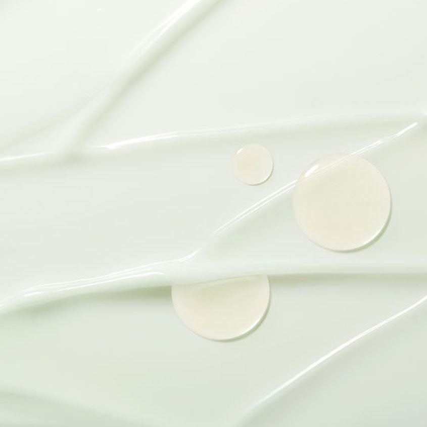 SUISKIN PINE LEAF VEGAN CREAM 50ML – شراء أونلاين
