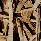 Infinite Oak