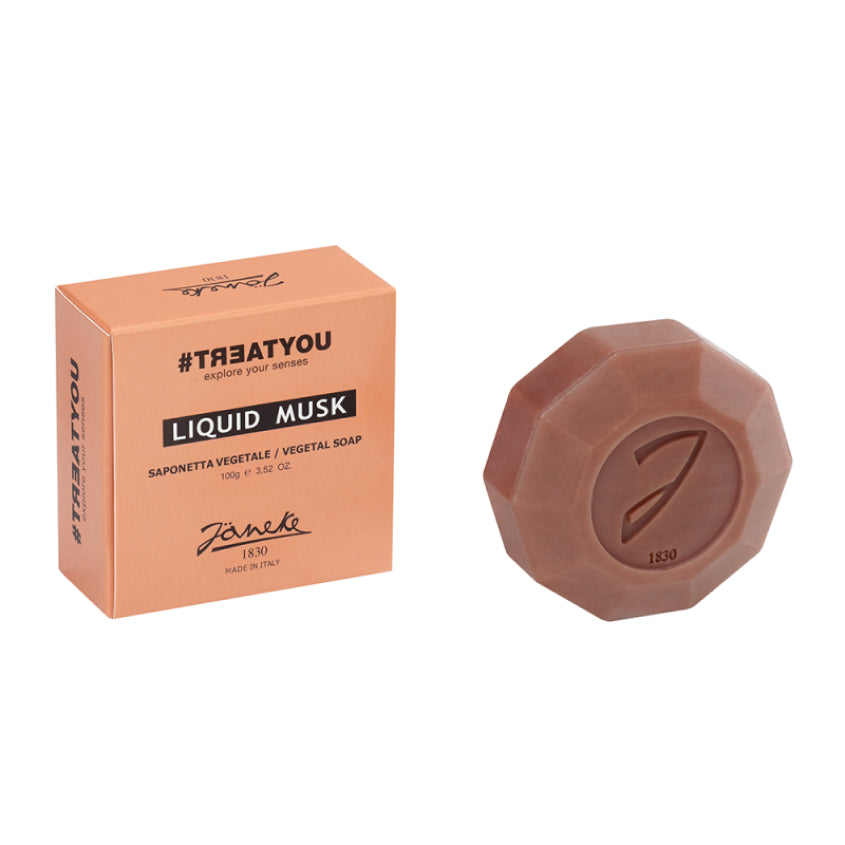 TREATYOU SOLID VEGETAL SOAP LIQUID MUSK 100G – online store