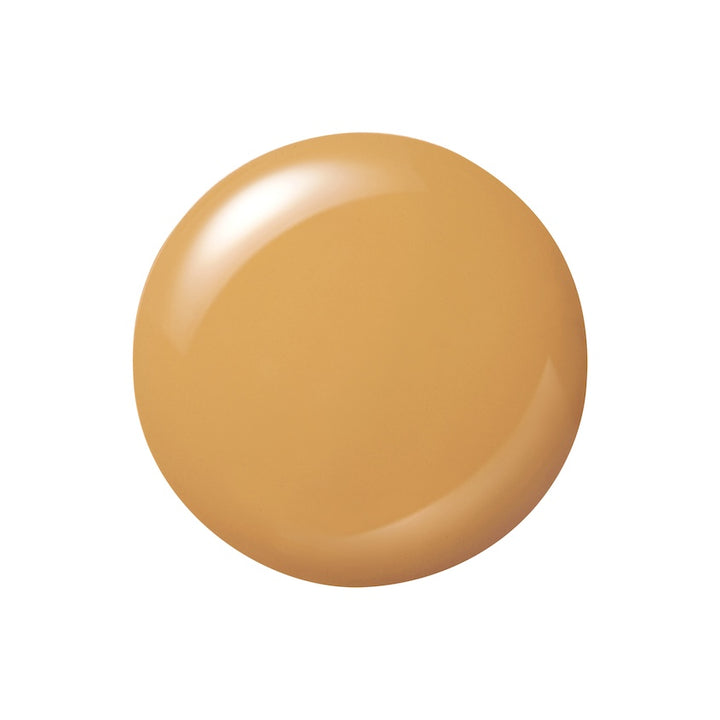 Sleek Serum Foundation