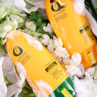 Deep Repair Moisturizing Shampoo