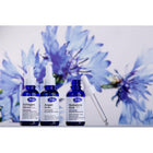 VENUS COLLAGEN CONCENTRATO MOLECOLARE ANTI-RUGHE INTENSIVO 30ML