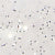 02 Transparent with silver glitter