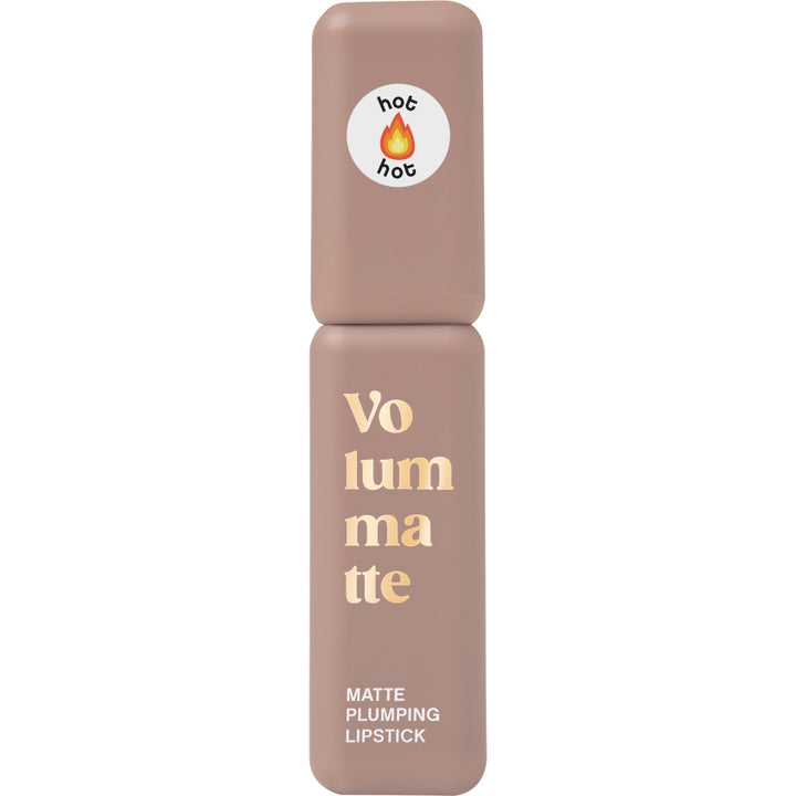 STABLE LIQUID MATTE LIPSTICK VOLUME MATTE 01 5G