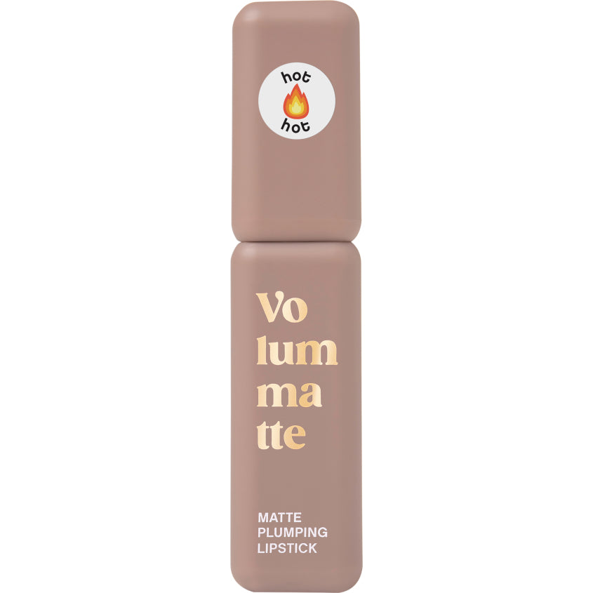 STABLE LIQUID MATTE LIPSTICK VOLUME MATTE 05 5G
