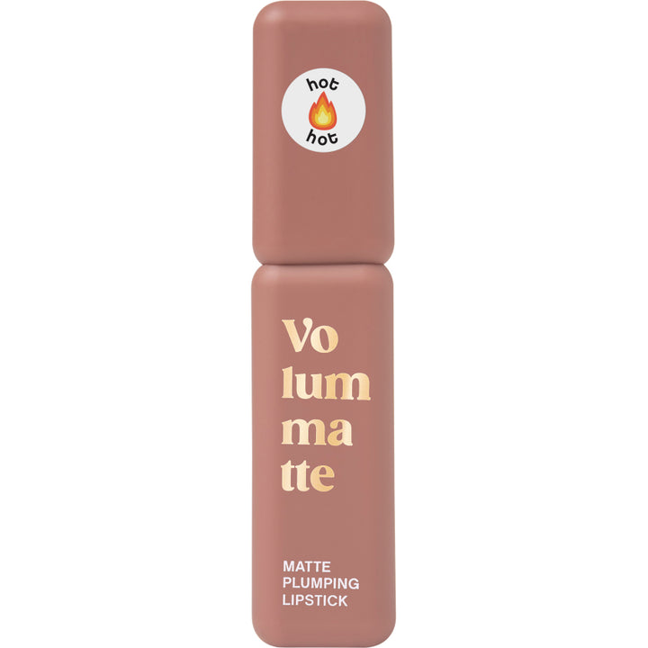 STABLE LIQUID MATTE LIPSTICK VOLUME MATTE 02 5G