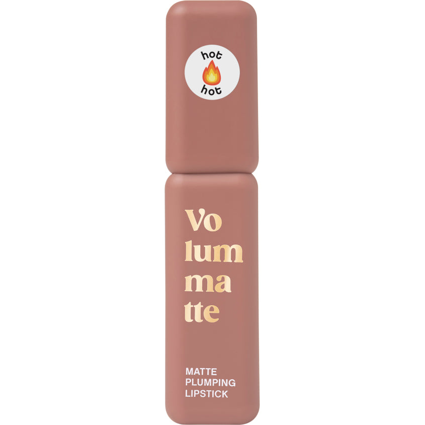 STABLE LIQUID MATTE LIPSTICK VOLUME MATTE 02 5G