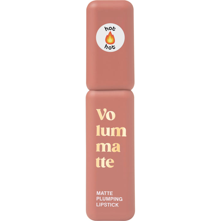 STABLE LIQUID MATTE LIPSTICK VOLUME MATTE 04 5G