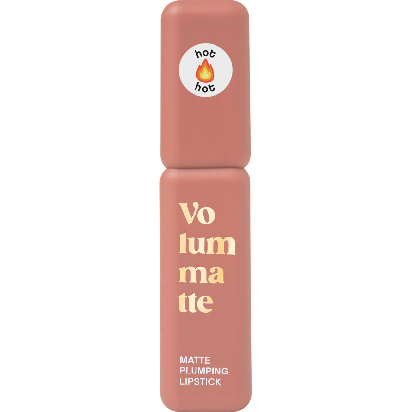 STABLE LIQUID MATTE LIPSTICK VOLUME MATTE 04 5G