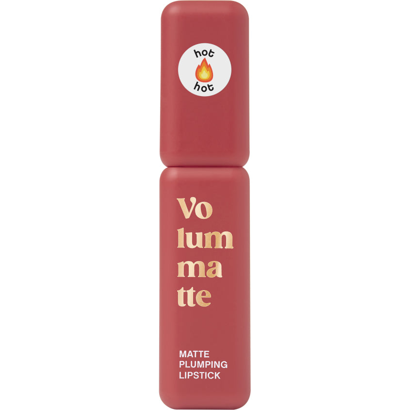 STABLE LIQUID MATTE LIPSTICK VOLUME MATTE 05 5G