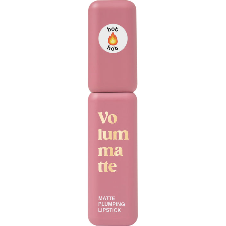 STABLE LIQUID MATTE LIPSTICK VOLUME MATTE 06 5G