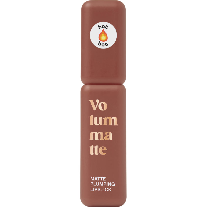 STABLE LIQUID MATTE LIPSTICK VOLUME MATTE 07 5G