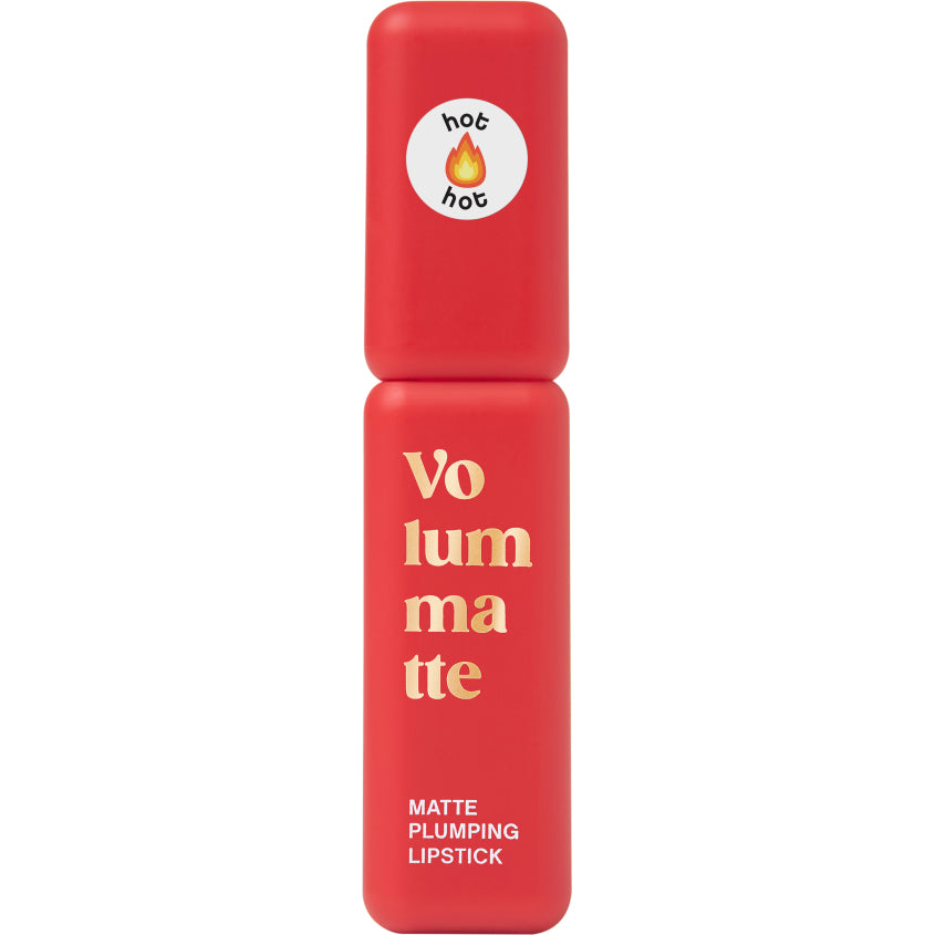 VIVIENNE SABO STABLE LIQUID MATTE LIPSTICK VOLUME MATTE 08 5G – شراء أونلاين
