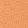 D04 Ideal Beige