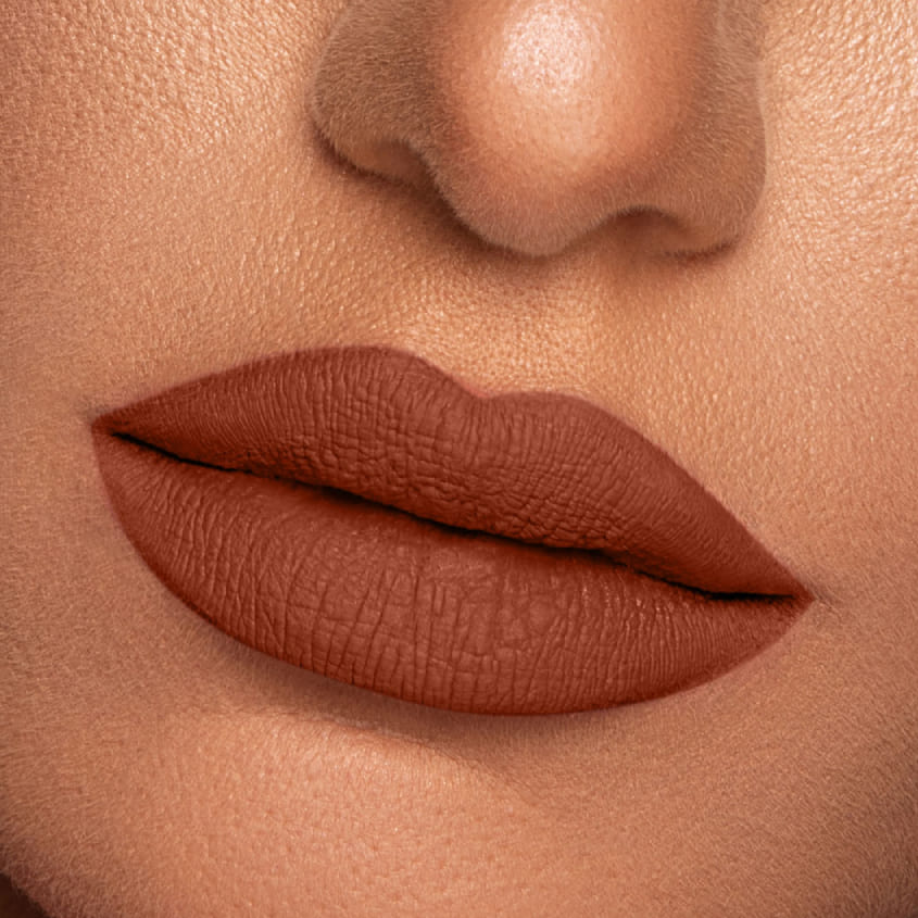 Vibrant Finish Matte Lip Paint