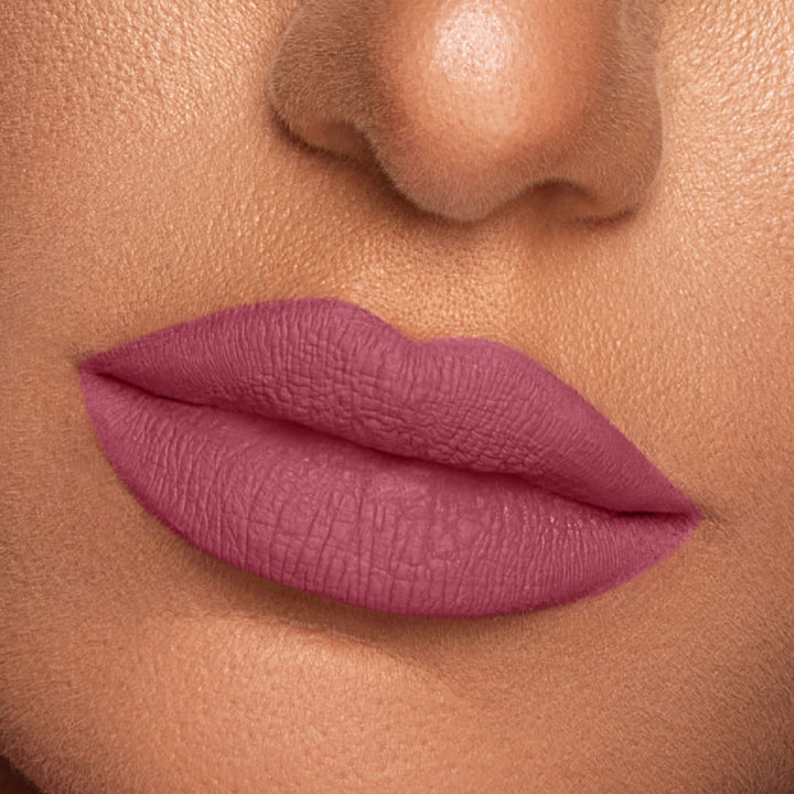Vibrant Finish Matte Lip Paint