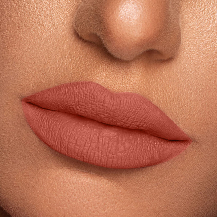 Vibrant Finish Matte Lip Paint