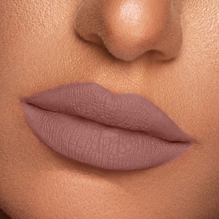 Vibrant Finish Matte Lip Paint