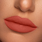 Vibrant Finish Matte Lip Paint