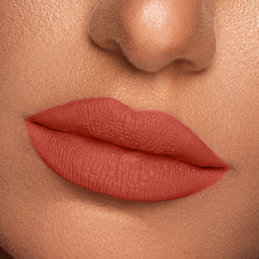 Vibrant Finish Matte Lip Paint