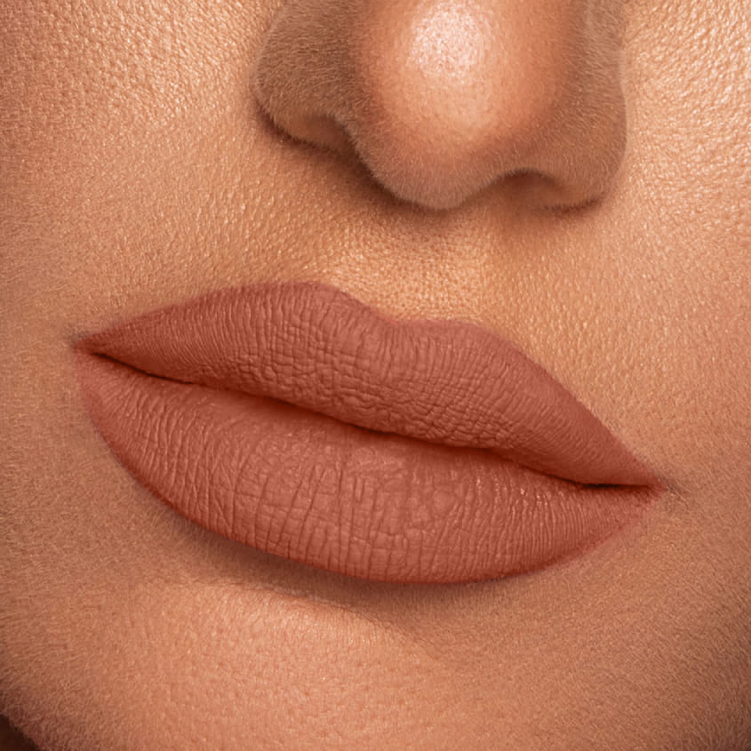 Vibrant Finish Matte Lip Paint