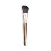 Short Fan Dense Angled Brush