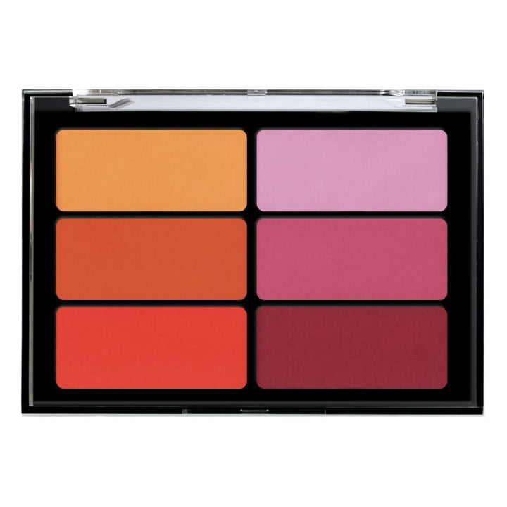 6 Color Blush Palette Orange Violet
