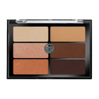6 Color Highlight Sculpting Palette
