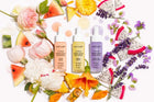 Prime Focus Hydrating Primer Serum