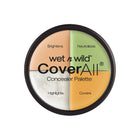 Concealer Cover All
