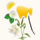 WIDIAN COTTON PERFUME 100 ML – شراء أونلاين