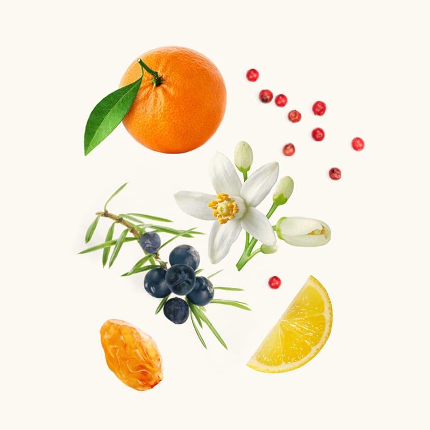WIDIAN MANDARINE PERFUME 100 ML – buy online