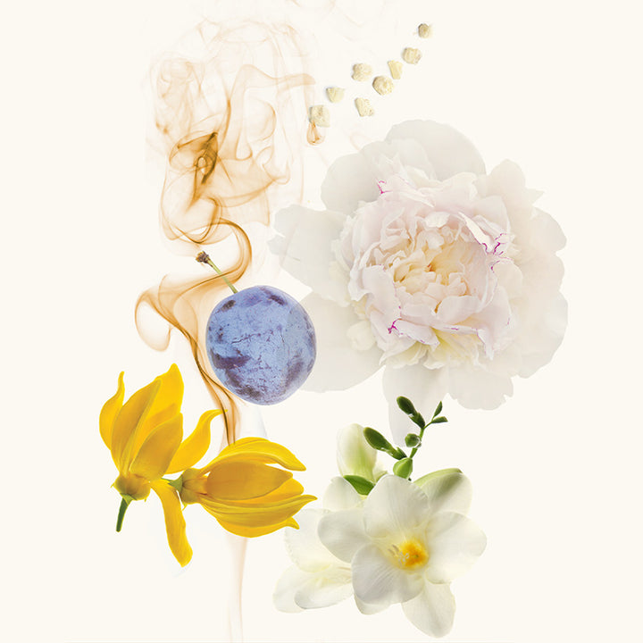 WHITE PERFUME 100 ML