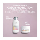 ColorMotion+ Mask