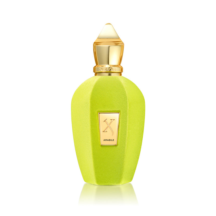 XERJOFF V AMABILE EDP 100 ML – buy online
