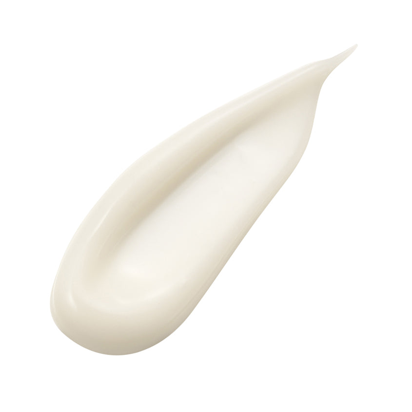 SENSAI ABSOLUTE SILK CREAM – buy online