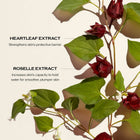 Ultimune Power Infusing Concentrate