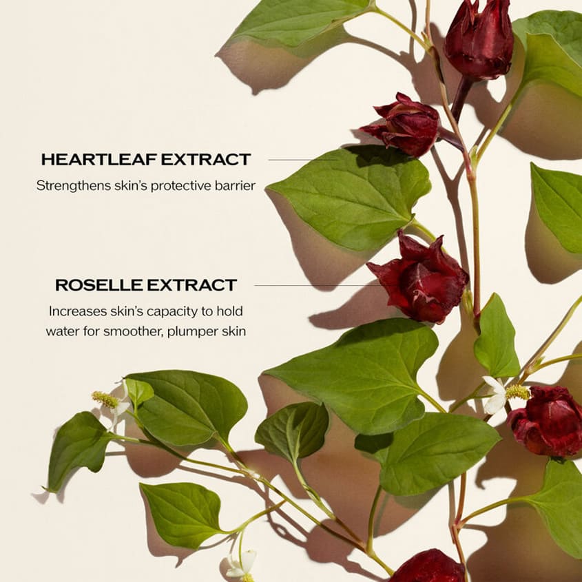 Ultimune Power Infusing Concentrate