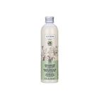 LUCENS UMBRIA REFRESHING SHAMPOO FOR OILY SCALP AND HAIR 250ML